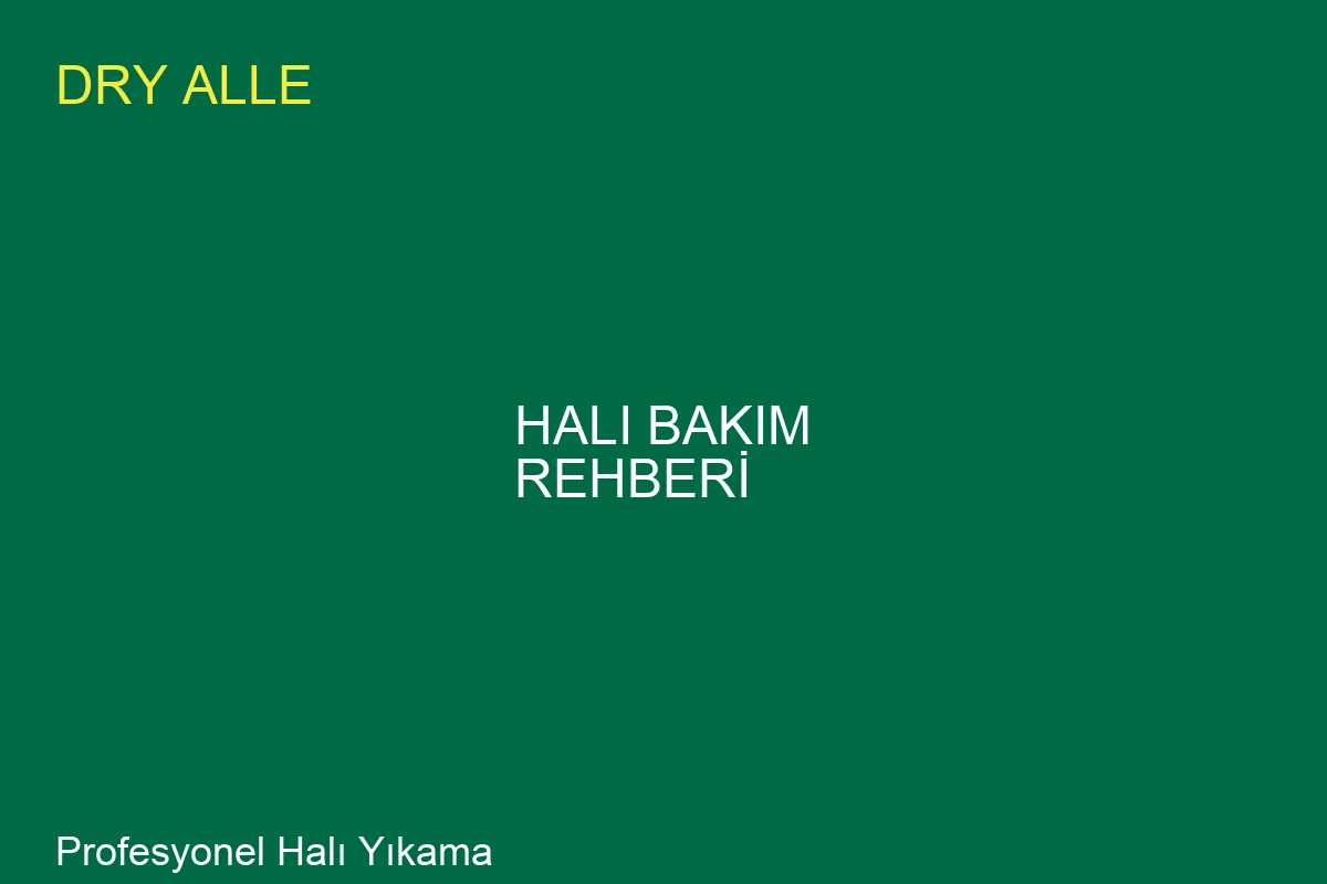 Hali Yikama Sonrasi Bakim Rehberi: Uzman Rehberi - Profesyonel Temizlik Hizmeti