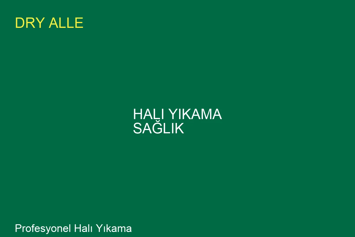 Evcil Hayvan Olan Evlerde Koltuk ve Halı Temizliği: Tüy, Koku ve Leke Çözümleri