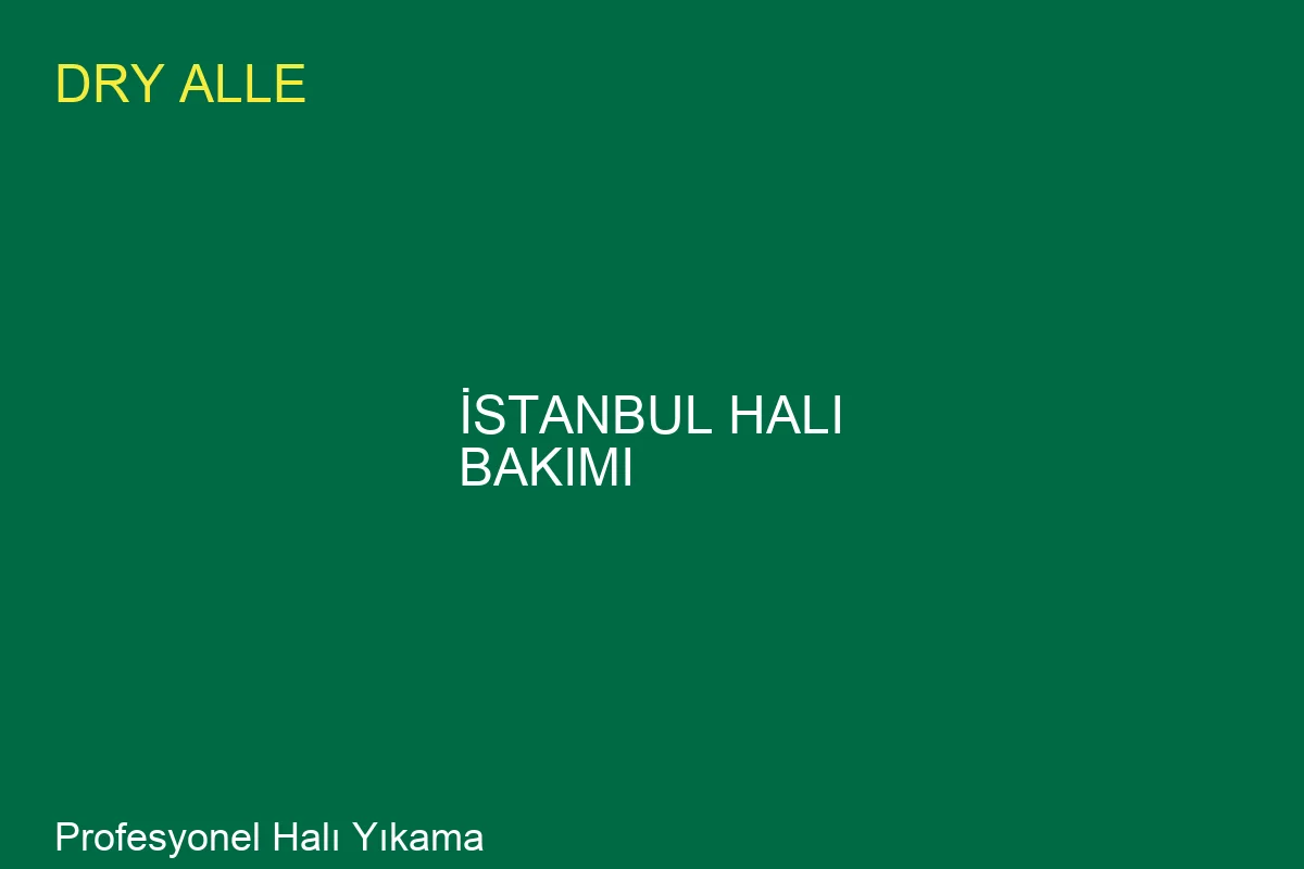 Istanbul Sicakliginda Hali Bakimi: Uzman Rehberi - Profesyonel Temizlik Hizmeti