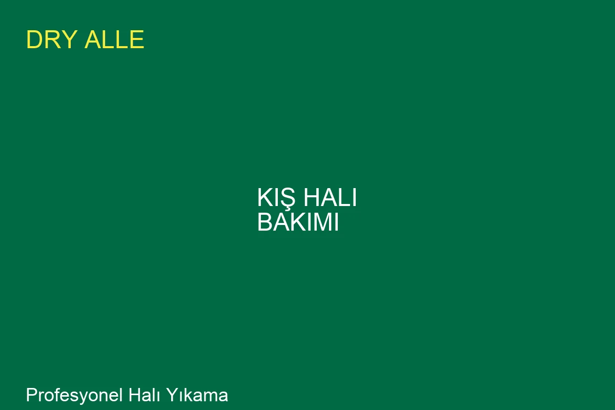 Kis Hali Bakim Stratejileri: Uzman Rehberi - Profesyonel Temizlik Hizmeti