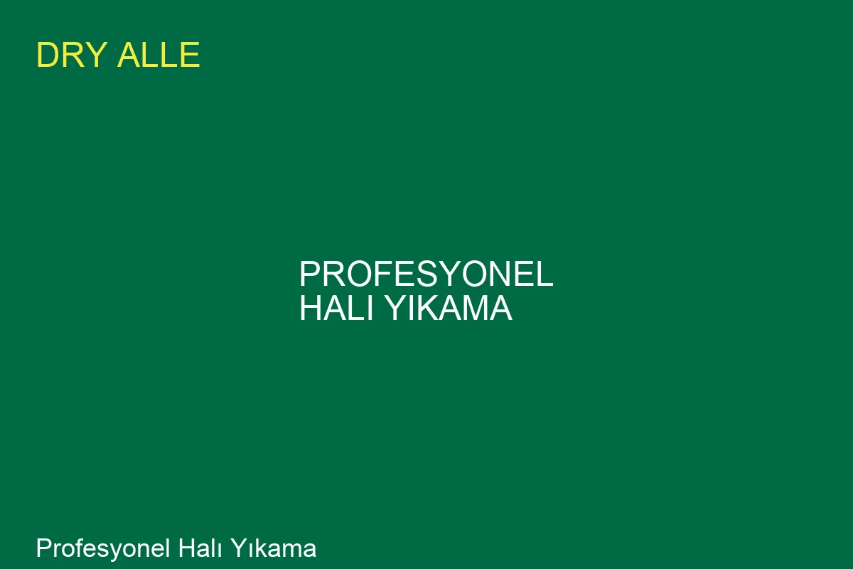 Profesyonel Hali Yikama Surecler: Uzman Rehberi - Profesyonel Temizlik Hizmeti